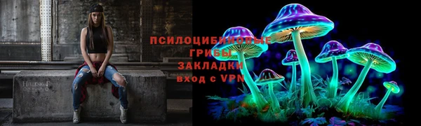 apvp Армянск