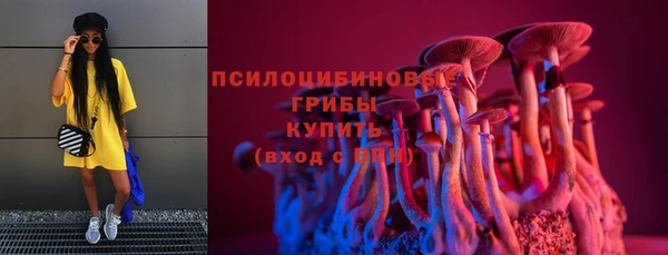 apvp Армянск