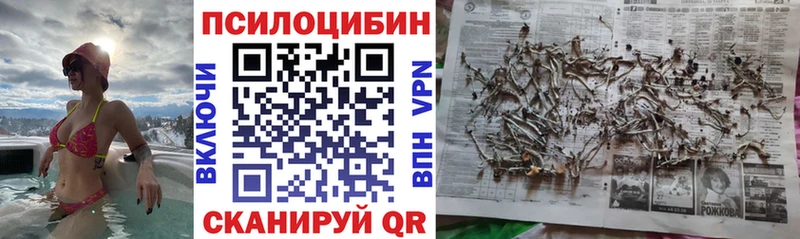 закладка Пушкино Галлюциногенные грибы мухоморы